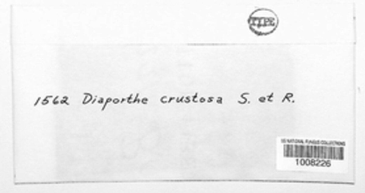 Diaporthe crustosa image